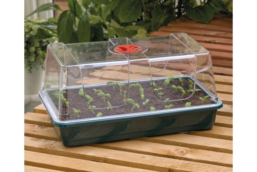 Garland Large Highdome Propagator