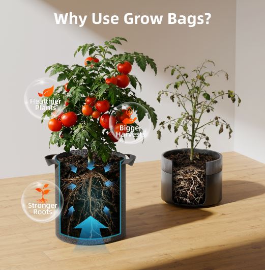 Spider Farmer - Fabric Pot 19L (5 Pack)
