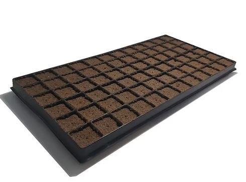 Nutrifield Coco Plug - 72 Tray