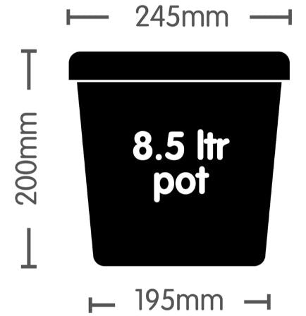 8.5L Autopot Pot Loose