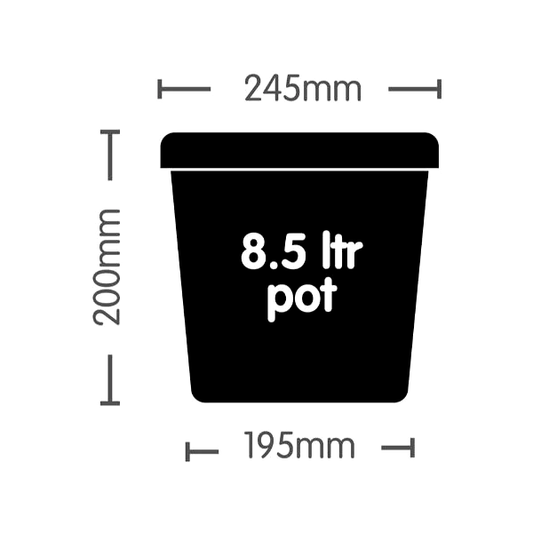 Autopot Pot (8.5L)