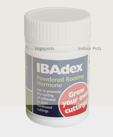IBAdex