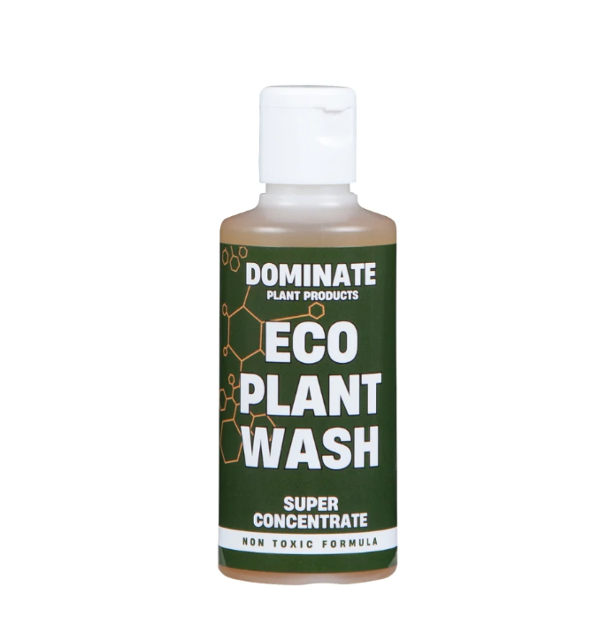 Eco Plant Wash 100ml