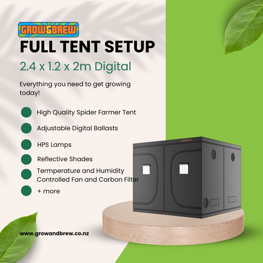 Full Tent Setup - 2.4 x 1.2 x 2m Digital