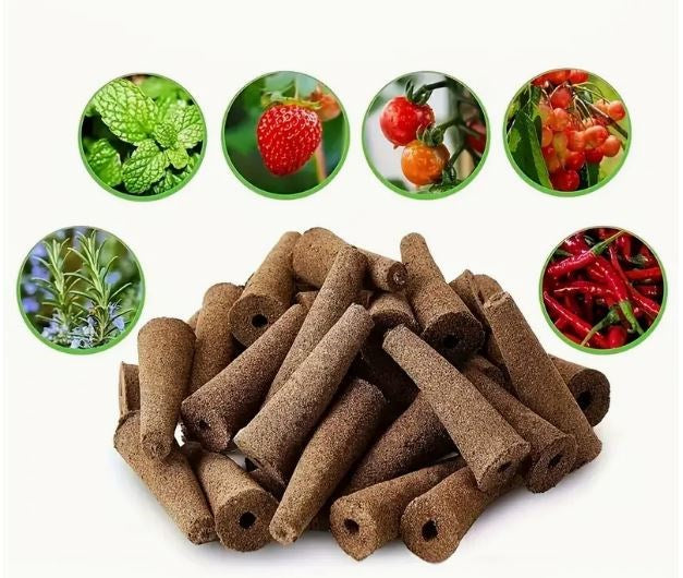 G12 Grow Cones sponges (50 pack)