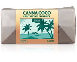Canna Coco Cube 4pk