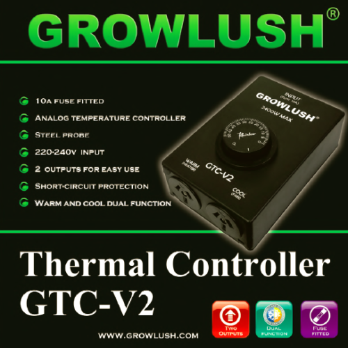 Thermal Controller Thermostat