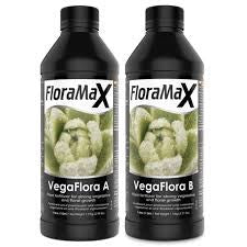 FloraMax VegaFlora A+B 1 litre