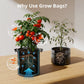 Spider Farmer - Fabric Pot 19L (5 Pack)