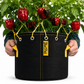 BudTrainer BudPots Fabric Pot (11 Litre/3 Gallon)