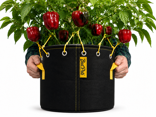 BudTrainer BudPots Fabric Pot (11 Litre/3 Gallon)