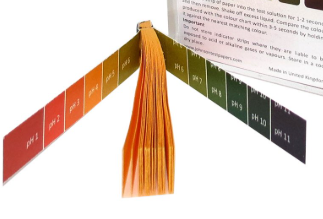 Johnson Test Papers - 1x20 Strip book
