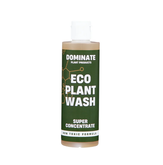 Eco Plant Wash 250ml
