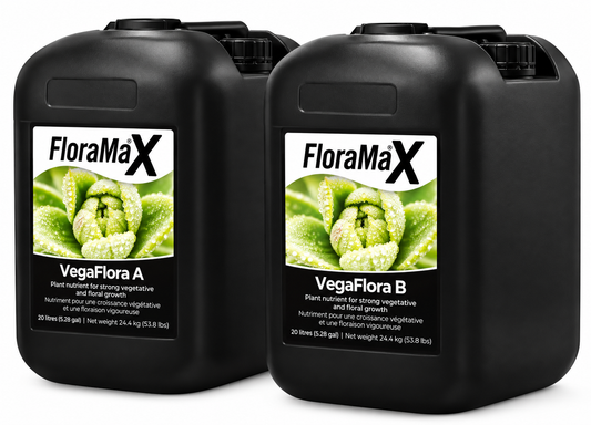 Floramax VegaFlora A+B (20 Litres)