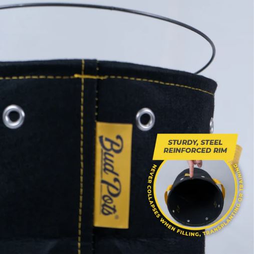 Bud Trainer Fabric Budpot 38L 10 Gallon