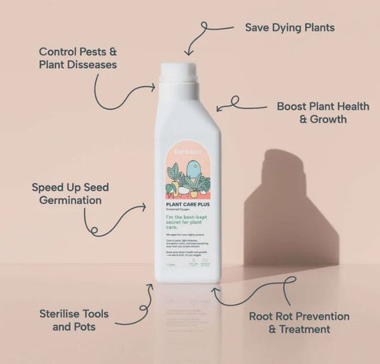 Forsana Plant Care Plus