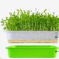 Microgreen Tray