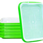 Microgreen Tray
