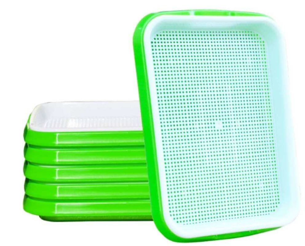 Microgreen Tray