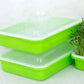 Microgreen Tray