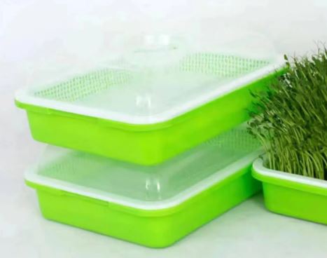 Microgreen Tray