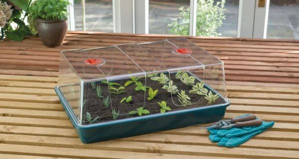 Garland XL Highdome Propagator