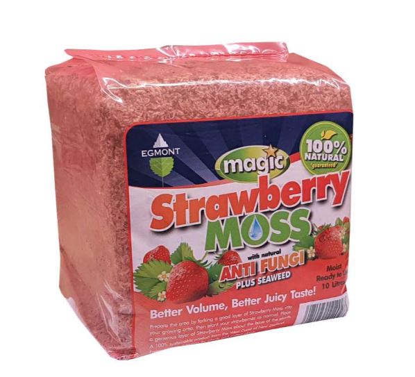 Magic Strawberry Moss 10L