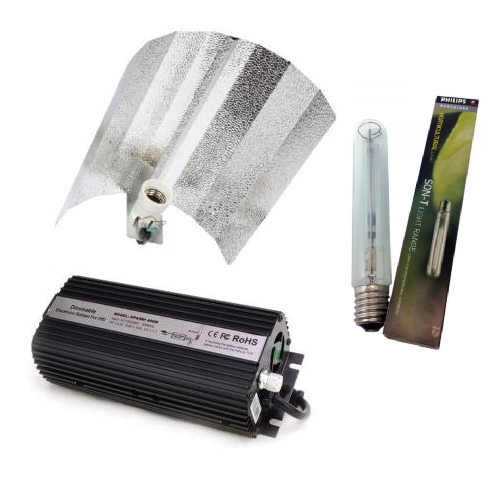 600W DIGITAL LIGHT KIT