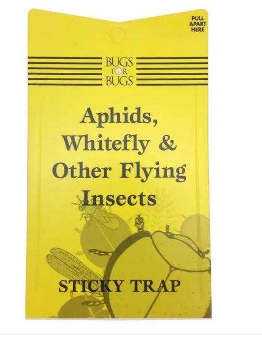Bugs for Bugs Yellow Sticky Traps