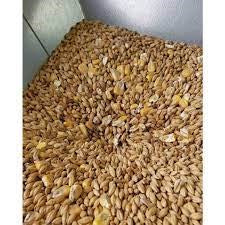 Maize Malt (Gladfield)