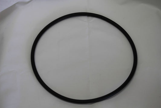 Ampi O Ring - 30/60L Carbouy