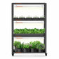 Spider Farmer SF600 growshelves Indoor led grow light and Metal Plant Stand with Plant Trays